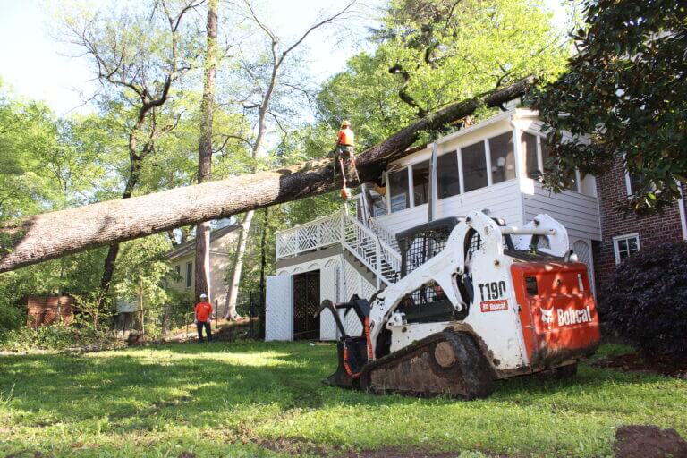 Emergency Tree Removal Atlanta GA