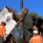 Tree Insurance Claims